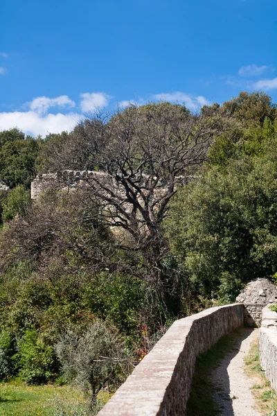 中世纪的城墙和树木 — 图库照片