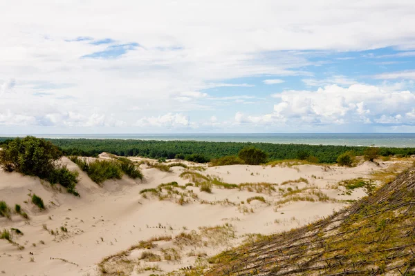 Sanddyner och havet — Stockfoto