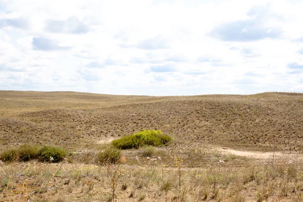 Zomer steppe landschap — Stockfoto