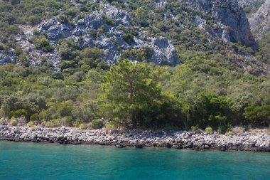 kaya ve deniz