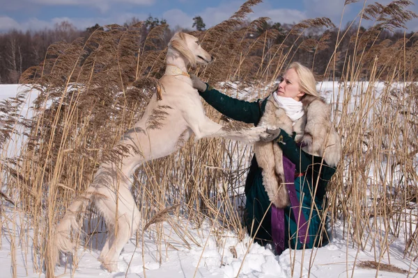 Blondynka i saluki — Zdjęcie stockowe