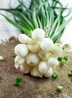 Bir avuç taze otlar. Soğan.