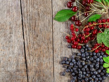 Sulu yaz meyveleri kenarlık