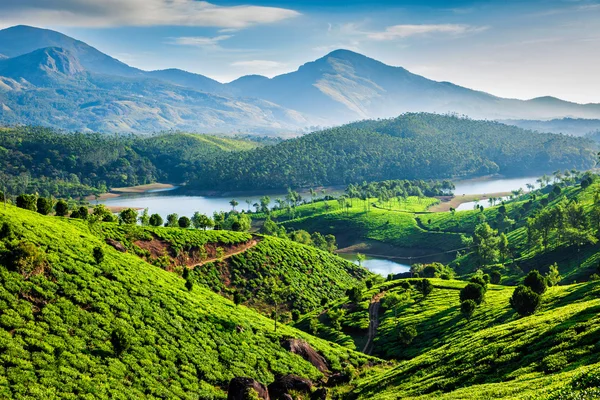 Piantagioni di tè e fiume in collina. Kerala, India — Foto Stock
