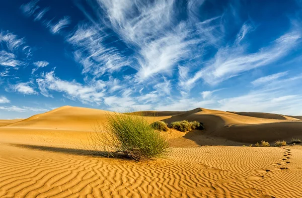 Dunes de sable dans le désert — Photo