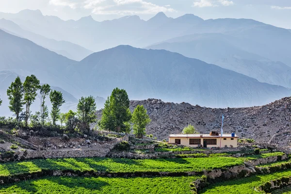Village in Himalayas — Stock Photo, Image