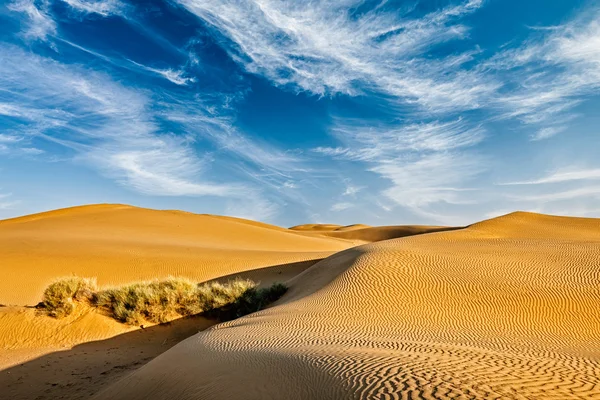 Sanddyner i öknen — Stockfoto