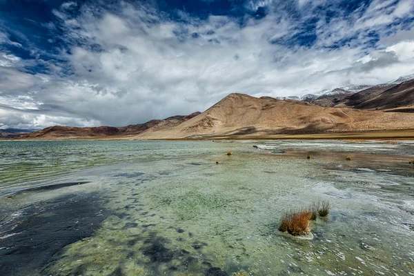 Dağ gölü Tso Kar Himalayalar — Stok fotoğraf