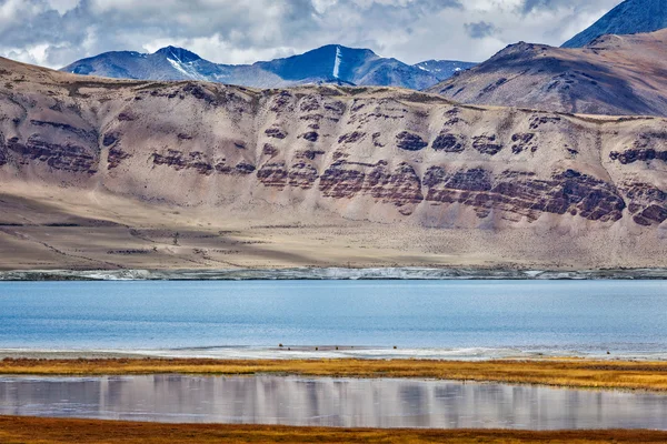 Horské jezero Tso Kar v Himalájích — Stock fotografie