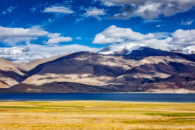 Himalayalar 'da Tso Moriri Gölü. Ladakh, Hindistan