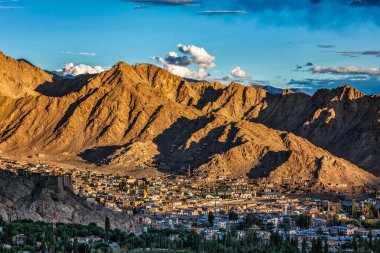 Ladakh 'taki Leh kasabasının havadan görünüşü