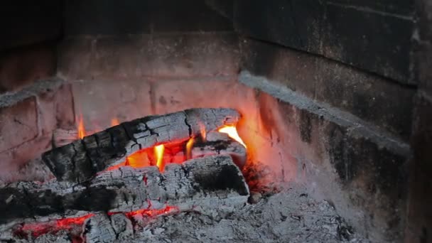 Fireplace with fire and burning wood — Stock Video