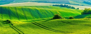 Moravian rolling landscape clipart