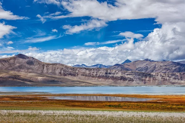 Lago de montaña Tso Kar en el Himalaya —  Fotos de Stock