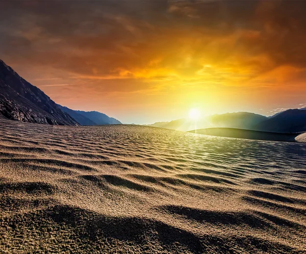 Dune di sabbia. Valle del Nubra, Ladakh, India — Foto Stock