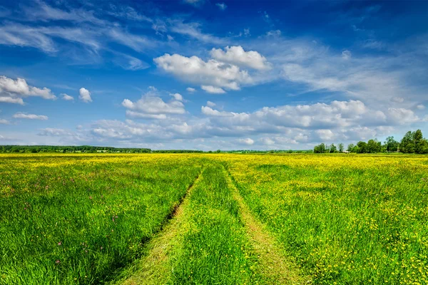 Verão de primavera - estrada rural em paisagem verde campo lanscape — Fotografia de Stock