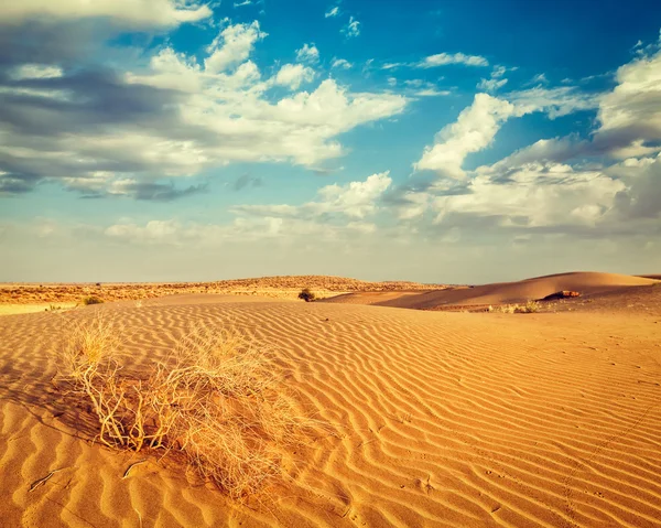 Dunes of Thar Desert, Rajasthan, India — Stock Photo, Image