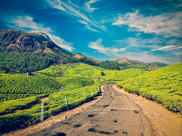 Road in tea plantations, India — Stock Photo, Image