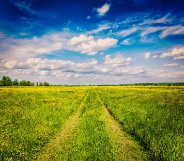 Bahar Yazı - Yeşil Tarla Manzarasında Kırsal Yol
