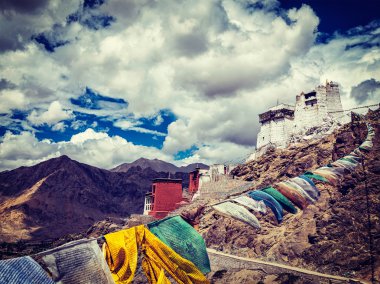 Leh gompa and lungta prayer flags. Leh, Ladakh, India