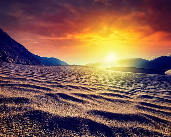 Dunas de arena. Valle de Nubra, Ladakh, India — Foto de Stock