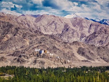 Thiksey Manastırı. Ladakh, Hindistan