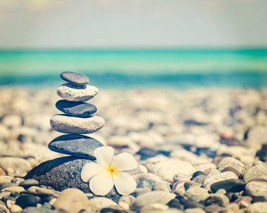 Zen taş yığını plumeria çiçek ile dengeli