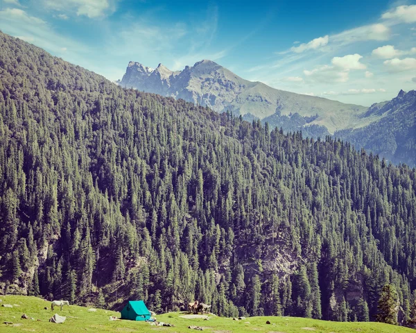 Tenda de acampamento na montanha — Fotografia de Stock