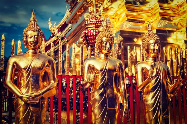 Goldbuddha-Statuen in wat phra that doi suthep — Stockfoto