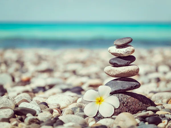 Zen pila pietre bilanciate con fiore di plumeria — Foto Stock