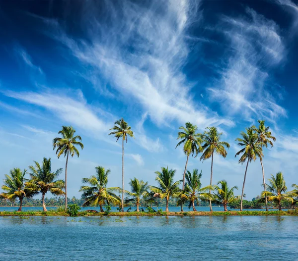 Kerala Backwaters mit Palmen — Stockfoto