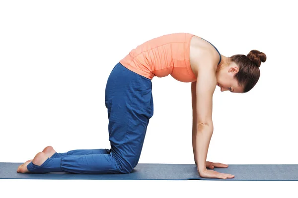 Vakker, sportslig yogini-dame som øver på yoga asana marjariasana – stockfoto
