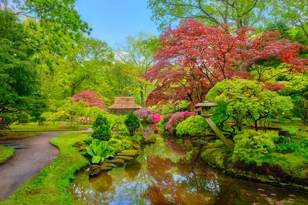 Japanse tuin, Park Clingendael, Den Haag, Nederland — Stockfoto