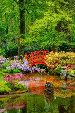Japon bahçesi, Park Clingendael, Lahey, Hollanda