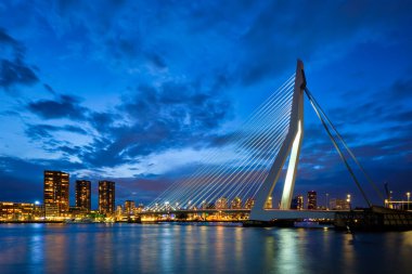 Erasmus Köprüsü, Erasmusbrug ve Rotterdam ufuk çizgisi. Rotterdam, Hollanda