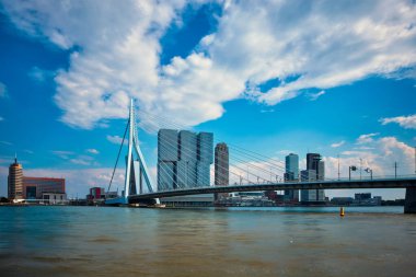 Nieuwe Maas üzerindeki Erasmusbrug köprüsü ve modern mimari gökdelenleri ile Rotterdam manzarası