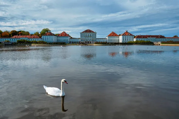 王宫附近池塘里的天鹅德国巴伐利亚慕尼黑 — 图库照片