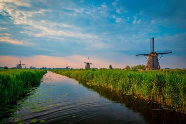 Hollanda 'daki Kinderdijk' te yel değirmenleri. Hollanda