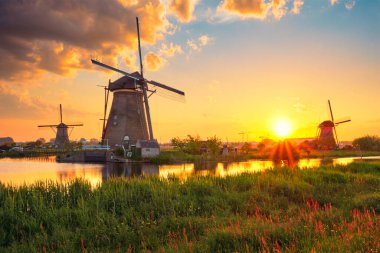 Hollanda 'daki Kinderdijk' te yel değirmenleri. Hollanda