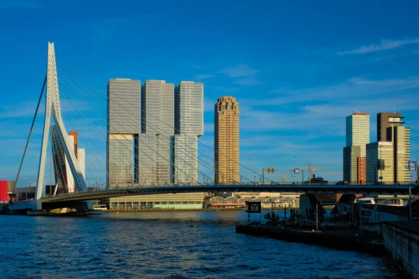 Drapacze chmur Rotterdamu i most Erasmusbrug nad rzeką Nieuwe Maas. Rotterdam — Zdjęcie stockowe