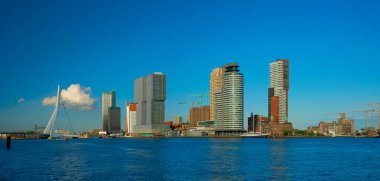 Rotterdam gökdelenleri ufuk çizgisi ve Nieuwe Maas nehri üzerindeki Erasmusbrug köprüsü. Rotterdam