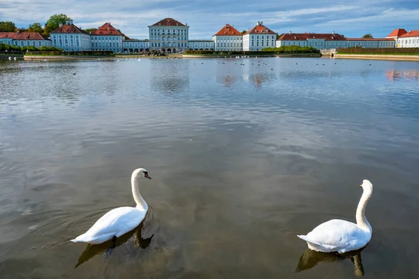 Zwaan in vijver bij Nymphenburg Palace. München, Beieren, Duitsland — Stockfoto