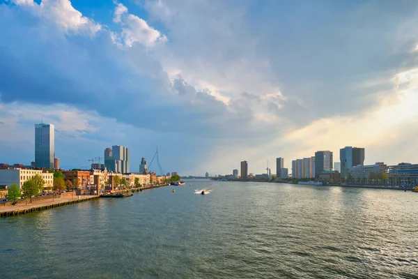 Stadsgezicht Rotterdam over de Nieuwe Maas, Nederland — Stockfoto