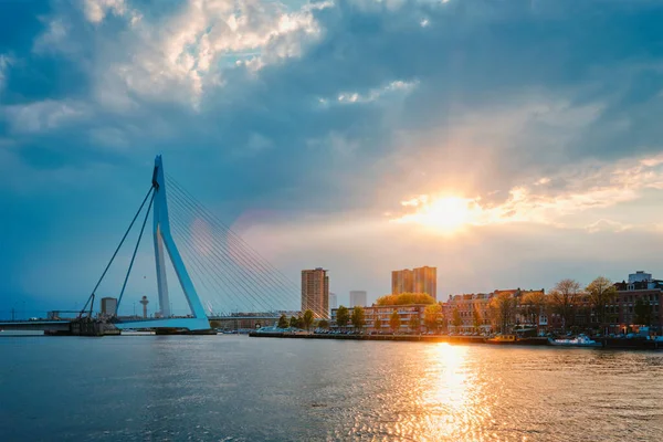 Rotterdam ufuk çizgisi şehir manzarası ile Nieuwe Maas üzerindeki Erasmusbrug köprüsü güneş batımında, Hollanda. — Stok fotoğraf