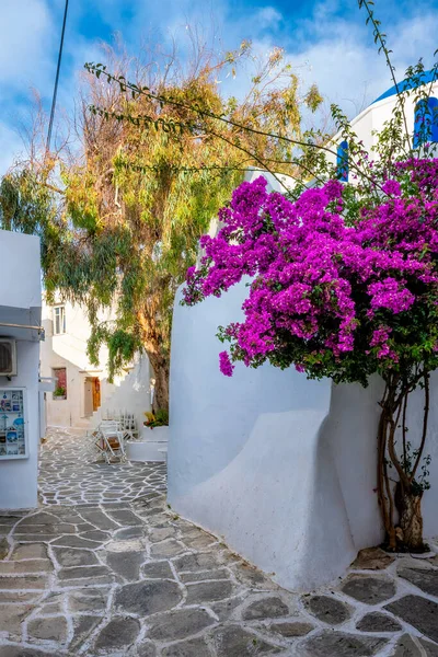 Rua pitoresca da cidade de Naousa na ilha de Paros, Grécia — Fotografia de Stock