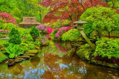 Japon bahçesi, Park Clingendael, Lahey, Hollanda