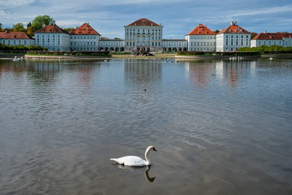 Hattyú a tó közelében Nymphenburg Palace. München, Bajorország, Németország — Stock Fotó