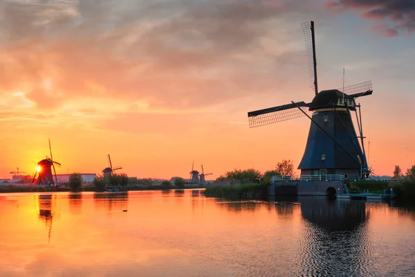 Windmolens bij Kinderdijk in Nederland. Nederland — Stockfoto