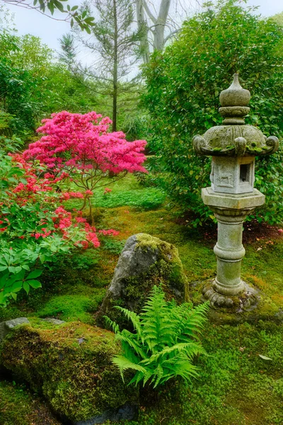 Ιαπωνικός κήπος, Park Clingendael, Χάγη, Ολλανδία — Φωτογραφία Αρχείου