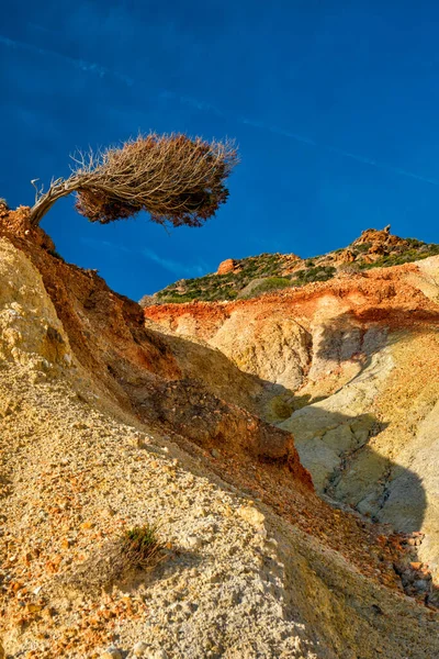 Träd på bergssluttningen. Milos ön, Grekland — Stockfoto